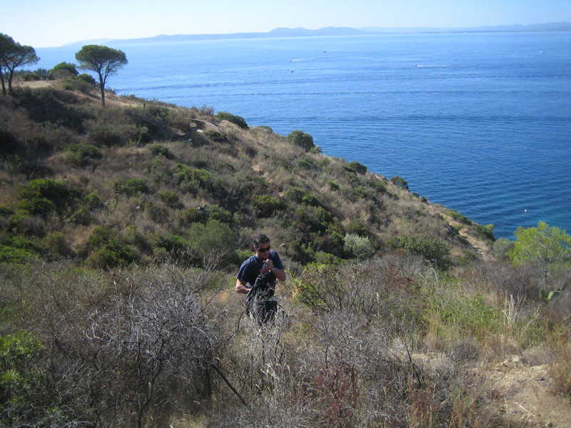 Vistas camino excursión con perro por la costa brava