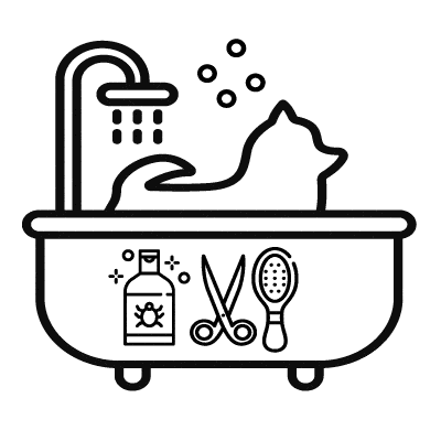 cat-icon