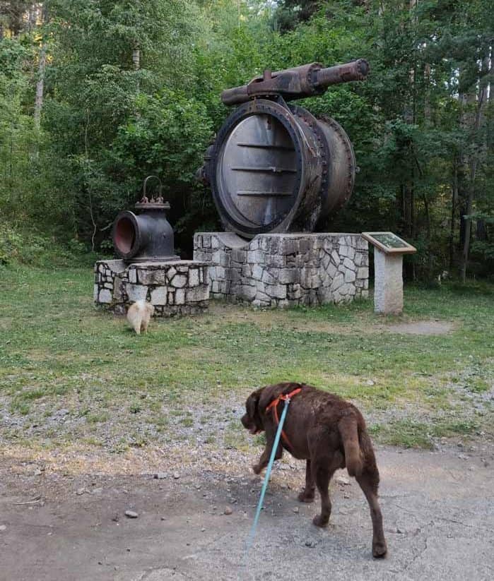 Compuerta de agua de la turbina del lago de engolasters expuesta en sus alrededores