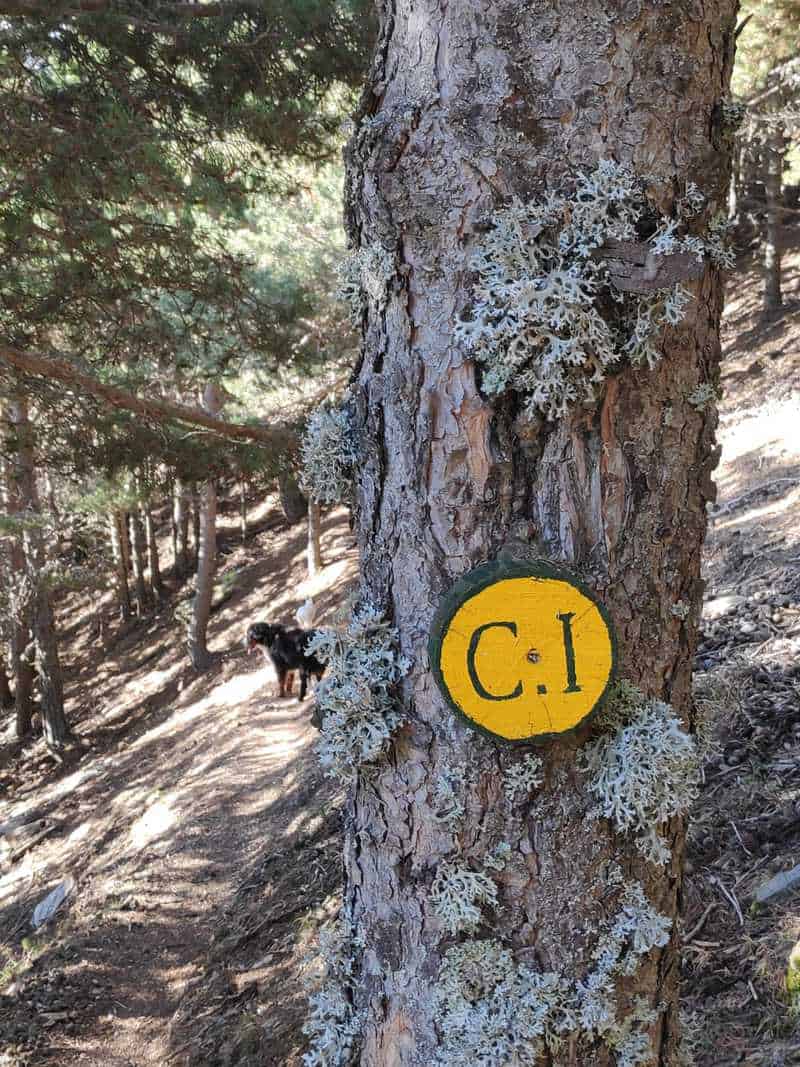 Punto de referencia para seguir el camino del tomb de les neres, circulo amarillo con letras c i 