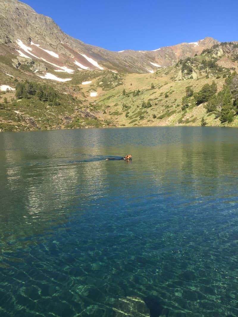 Perro bañandose en el lago de les truites