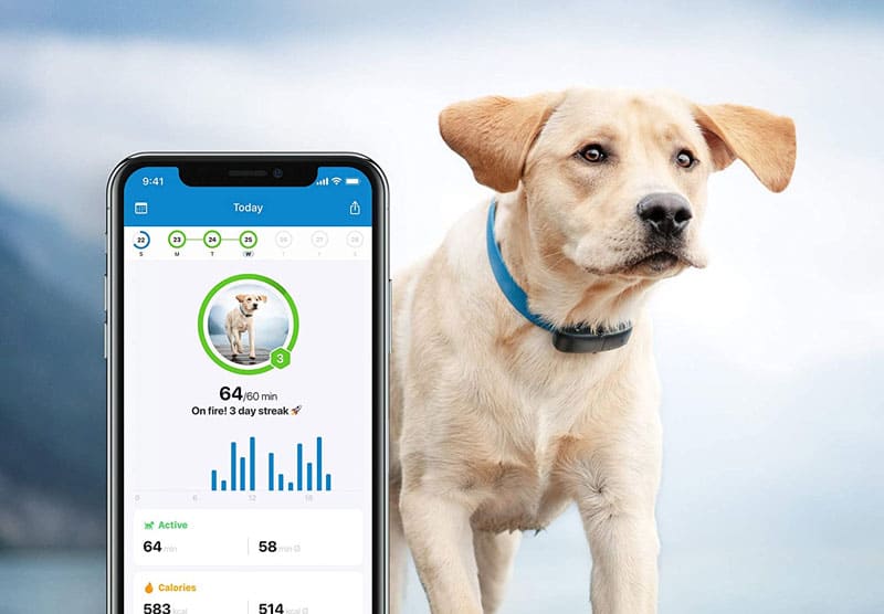App movil para el gps