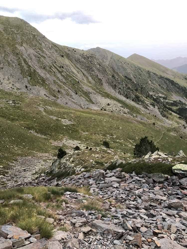 Tartera de la vall del riu