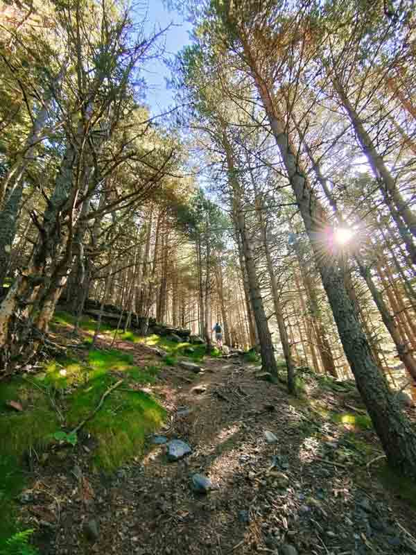Primera subida empinada de la ruta por bosque