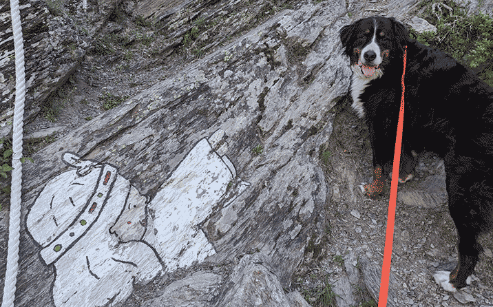 Perro junto a la imagen en la piedra de la dama blanca