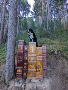 perro subido a una estructura en forma de libros representando las recetas de la bruja